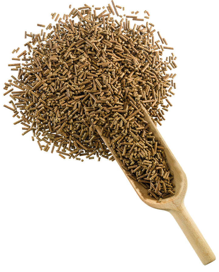 DERBY Vital DERBY Vital